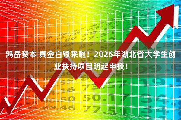 鸿岳资本 真金白银来啦！2026年湖北省大学生创业扶持项目明起申报！