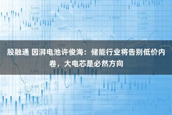 股融通 因湃电池许俊海：储能行业将告别低价内卷，大电芯是必然方向